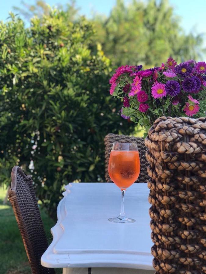 Cabana Corazon De Colchagua Sta Cruz Apartment Nancagua  Ngoại thất bức ảnh
